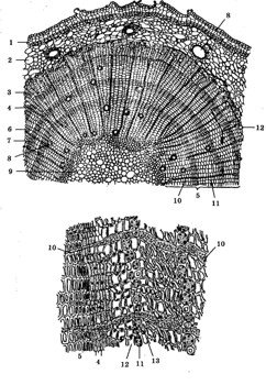 1190-4.jpg